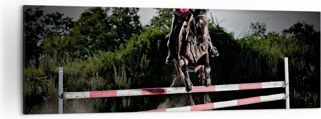 Bild auf Leinwand - Leinwandbild - Pferd Sport Hindernisse Himmel - 160x50cm - Wand Bild - Wanddeko - Leinwanddruck - Bilder - Kunstdruck - Wanddek...