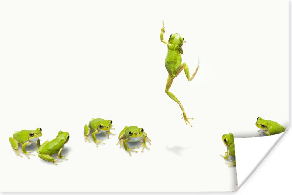 MuchoWow Poster Frosch - Tiere - Grün 180x120 cm - Fotoplakat