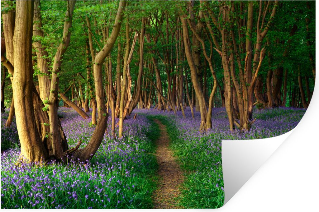 MuchoWow Wandtattoo Wandsticker Wandaufkleber Wald - Weg - Blumen 90x60 cm Selbstklebend und Repositionierbar - Aufkleber