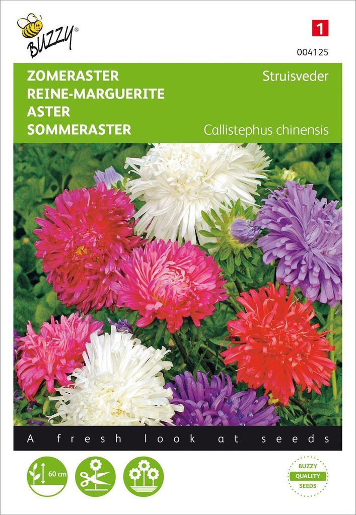 Sommeraster Straußenfeder Mischung | Asternsamen von Buzzy Produktbild 