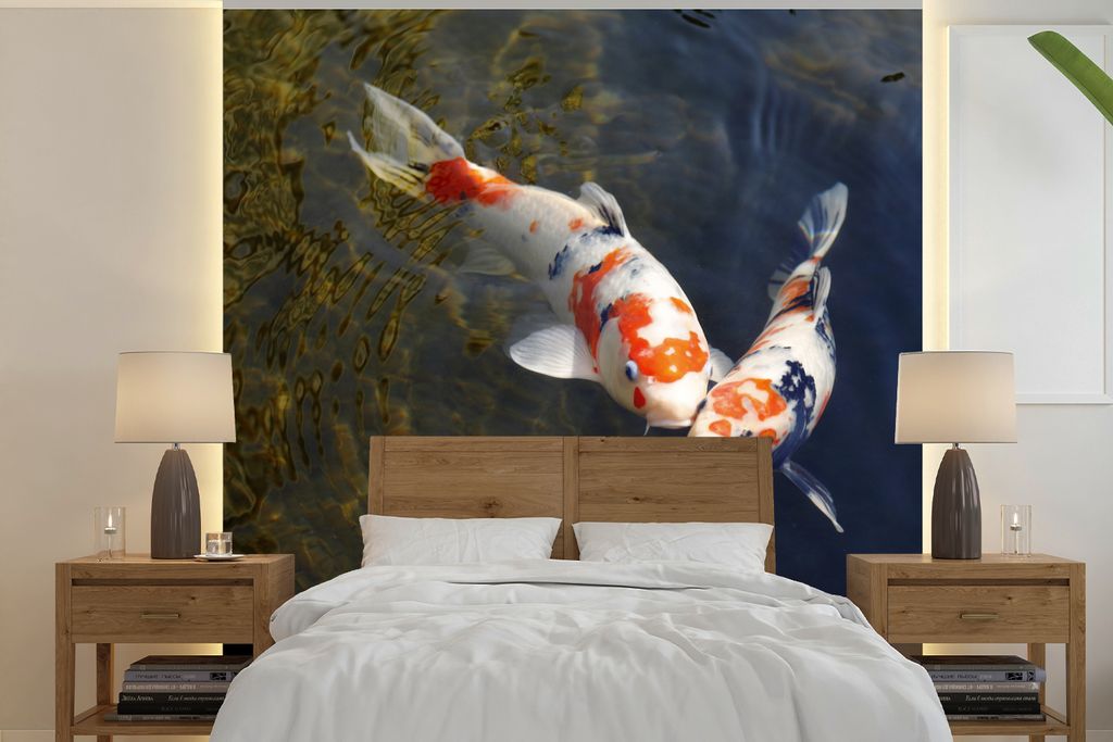 MuchoWow Fototapete für Wohnzimmer oder Schlafzimmer Wandtapete Vinyl Motivtapete Zwei Koi-Karpfen im Wasser - 260x260 cm - Papiertapeten