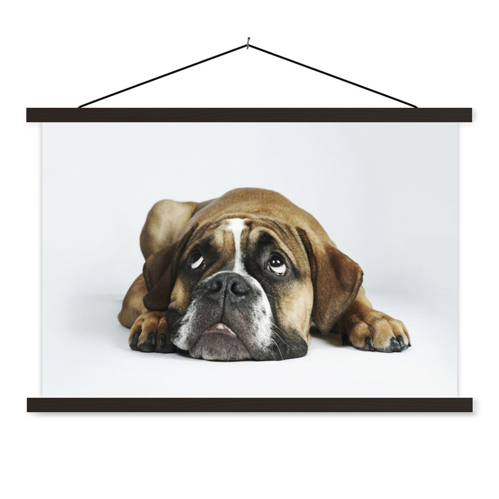 MuchoWow Textilposter Hund - Haustiere - Weiß 150x100 cm mit schwarzem Rahmen - Schlafzimmer