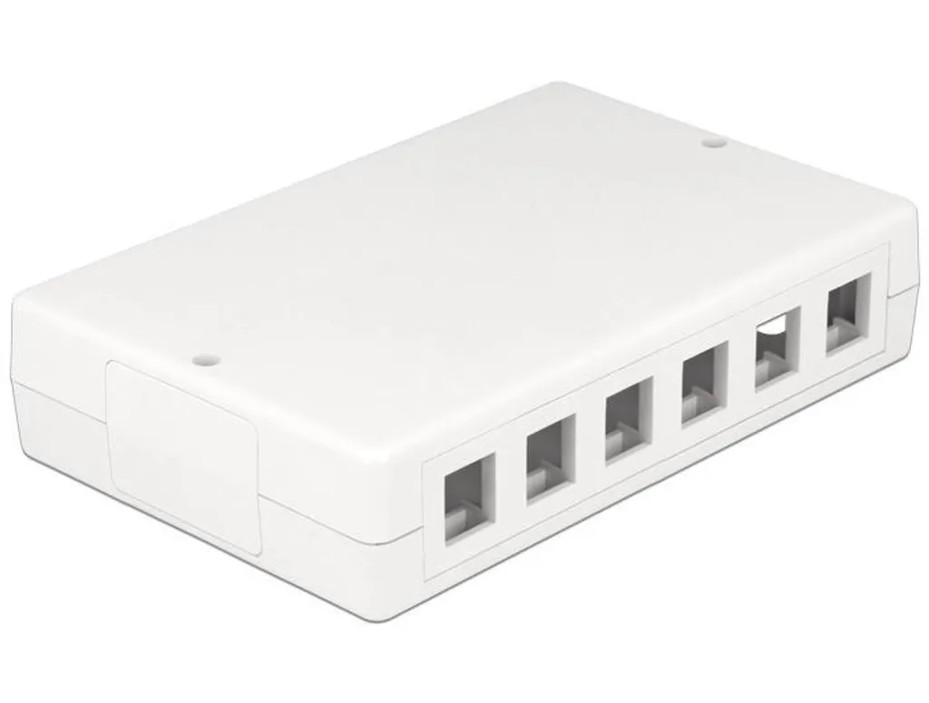 Boîtier Keystone 12 Ports Delock en Métal Robuste avec Support de Câbles