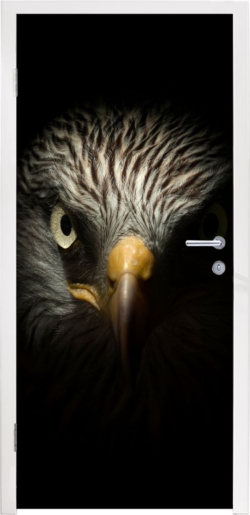 MuchoWow Türtapete Selbstklebende Türfolie Vogel - Adler - Raubvögel - Auge - Schnabel - Licht 90x215 cm Türposter Türaufkleber Klebefolie T...