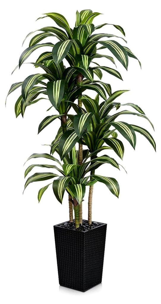 Künstlicher Drachenbaum 180 cm - UV-beständige Pflanze mit 76 Blättern, schwarzem Topf und Flusssteinen - Deko für Wohnzimmer, Büro, Indoor un...