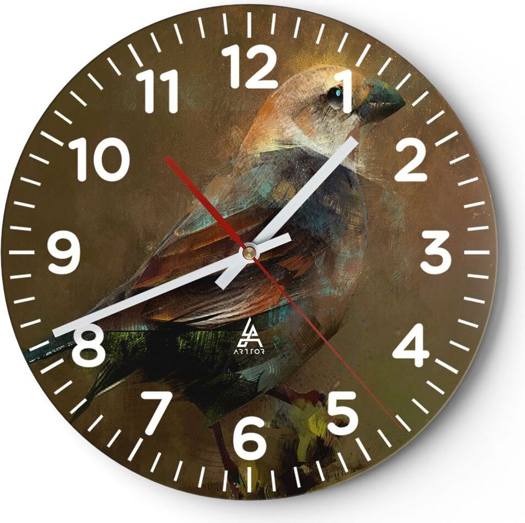 Wanduhr - Rund - Glasuhr - Vogel Natur - 40x40cm - Schleichendes Uhrwerk - Lautlos - zum Aufhängen bereit - Dekoration Modern - Wanddekoration aus...