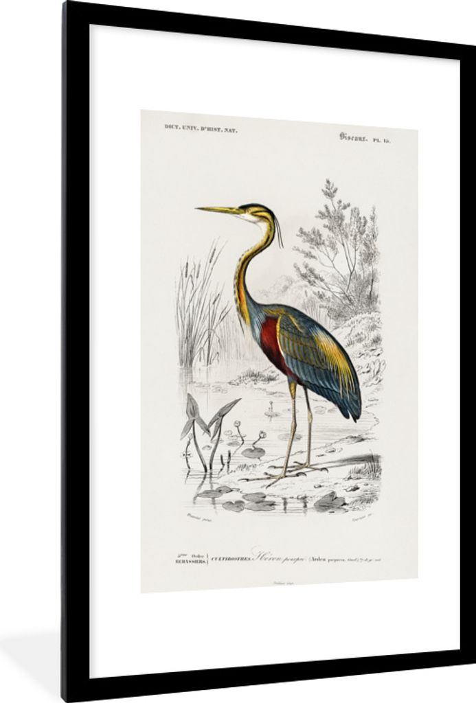 MuchoWow MuchoWow Gerahmtes Poster Vogel - Vintage - Reiher 60x90 cm - Poster mit zchwarzem Bilderrahmen - Dekoration - Wandposter Wohnzimmer -...
