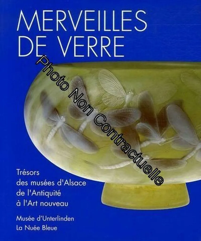 Beau Livre d'Art : Merveilles de Verre et Collections Privées en Alsace 256p