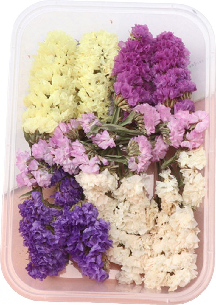 Trockenblumen-Set, echte natürliche Blumen, getrocknete Blumen in großen Mengen, DIY-Ewige Blumen, Material für handgefertigten Schmuck, Nägel,...