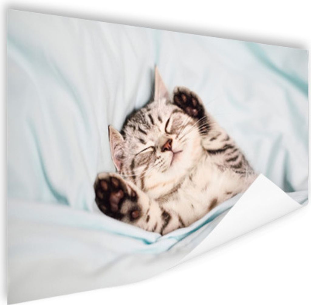 MuchoWow Poster Kätzchen - Bett - Pfoten - Mädchen - Kinder - Kinder - Kind 60x40 cm - Schlafzimmerdekoration