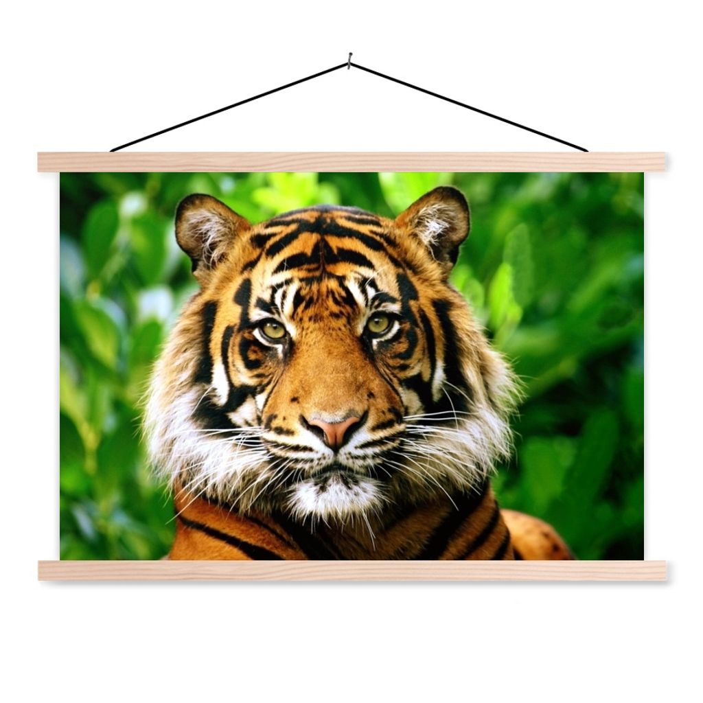MuchoWow® Textilposter Tiger - Kopf - Wald 60x40 cm mit Produktbild 