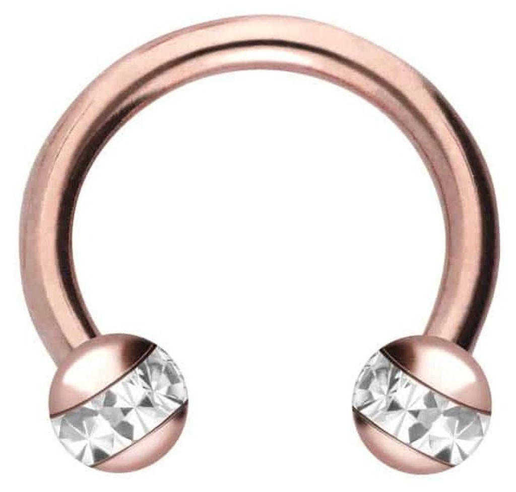 Ohrpiercing, Nasenpiercing, Septum Piercing Chirurgenstahl Produktbild 