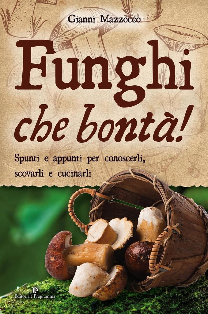 Mazzocco, G: Funghi che bontà! Spunti e appunti per conoscer