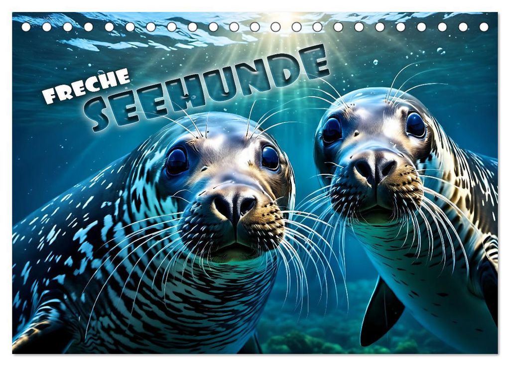 Freche Seehunde (Tischkalender 2027 DIN A5 quer), CALVENDO Monatskalender