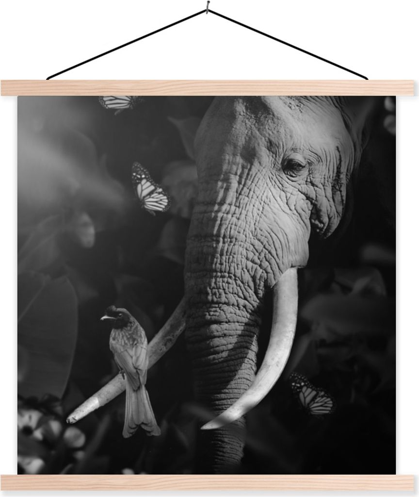 MuchoWow Textilposter Vogel - Elefant - Dschungel - Schwarz - Weiß 120x120 cm mit holzfarbenen Rahmen - Textil-Poster