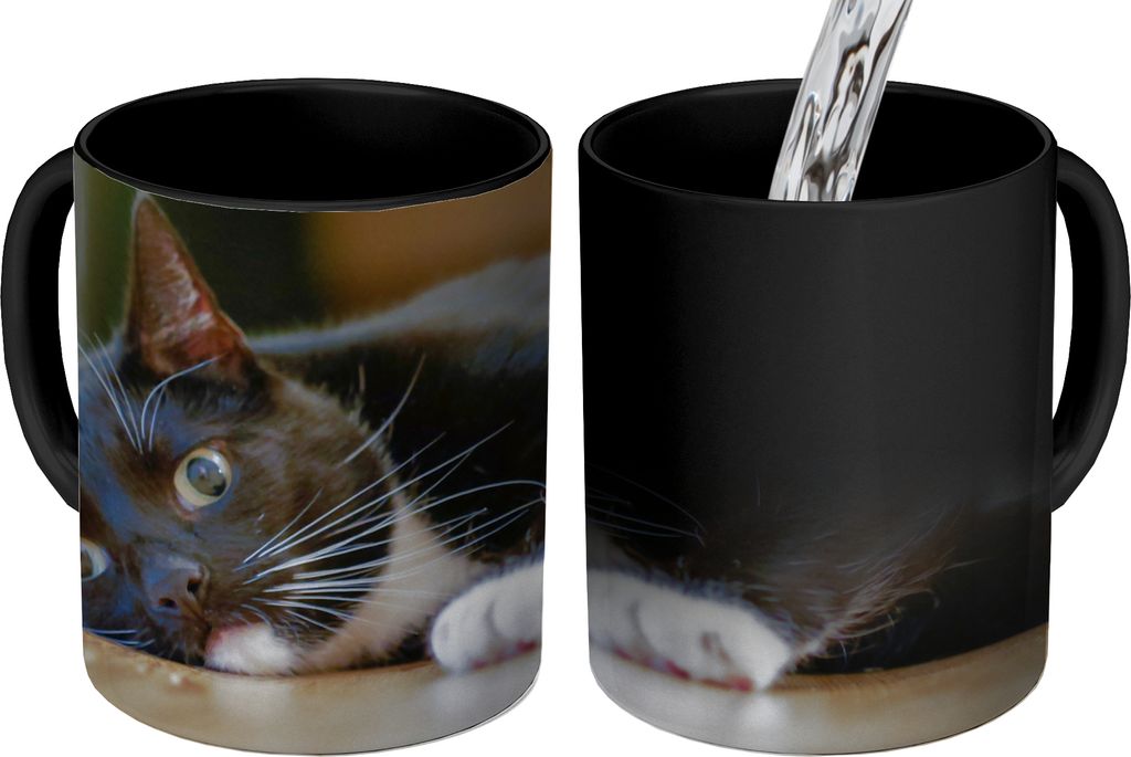 MuchoWow Zauber Tasse Zaubertasse Magic Katzen - Boden - Schwarz 350 ml Farbwechsel Becher Geschenk Geschenkidee - Magic-Tasse - Fototasse - Kera...