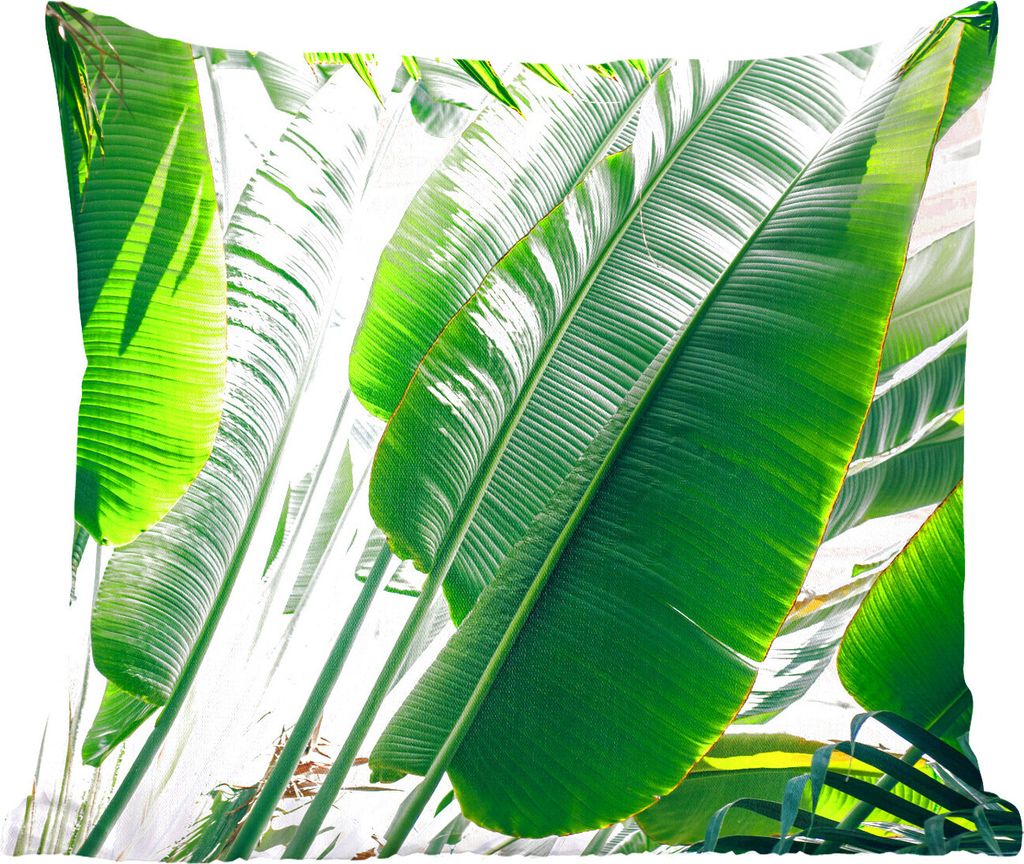 MuchoWow Zierkissen Sofakissen Wohnzimmer Dekokissen 45x45 cm Sonnenstrahlen leuchten auf Palmenblättern in einem botanischen Garten - Schlafpol...