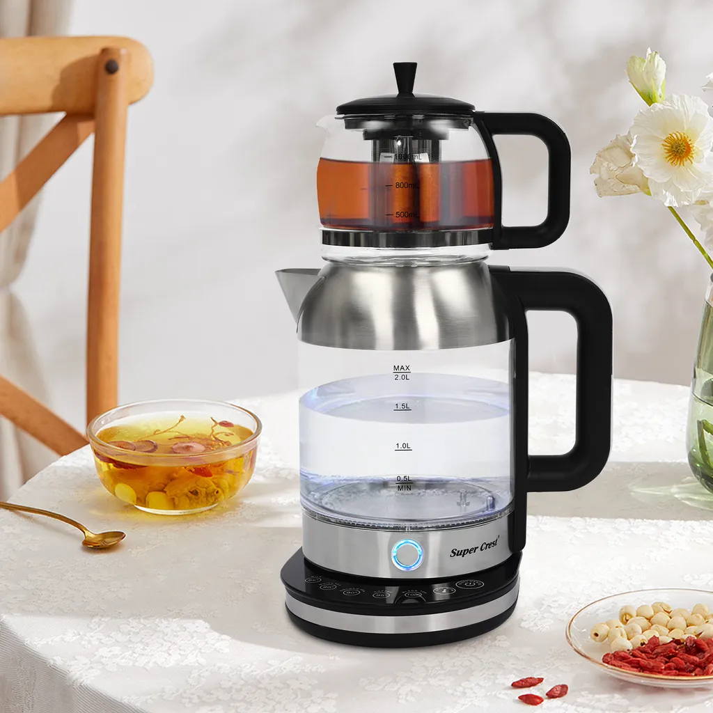 Bouilloire électrique portable de voyage pour thé et eau chaude 800ml