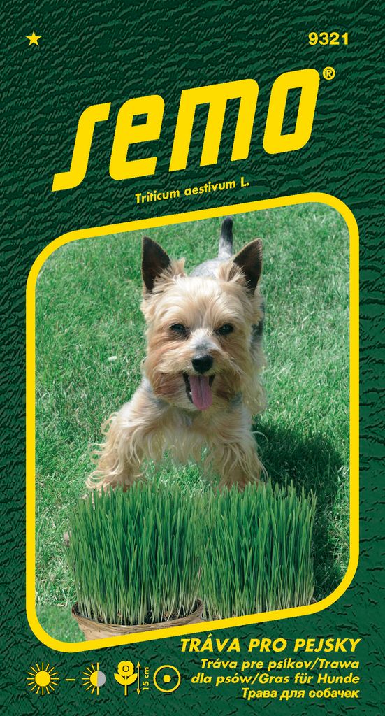 Samen - GRAS FÜR HUNDE 'GENIUS'