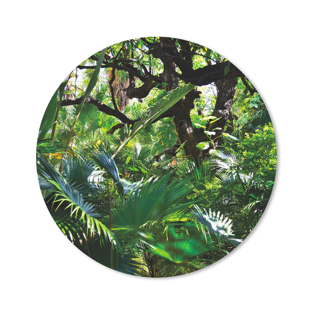 MuchoWow Mauspad Mousepad Schöne Muster von Blättern und Bäumen in einem Regenwald 20x20 cm - Mousepads - Maus Mat - Pad - Mausunterlage - Sch...