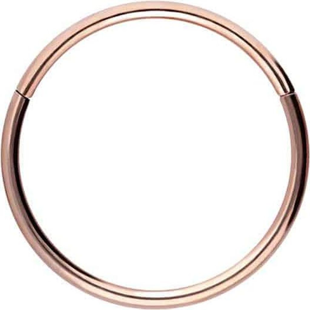 Ohrpiercing, Nasenpiercing, Septum Piercing Titan Segmentring Clicker RoséGold Innendurchmesser: 9mm + Stabstärke: 0,8mm