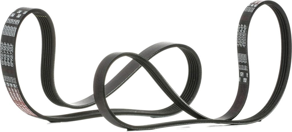 GATES K016PK873SF - OE 1465191 Keilrippenriemensatz für Transit, Transit V363