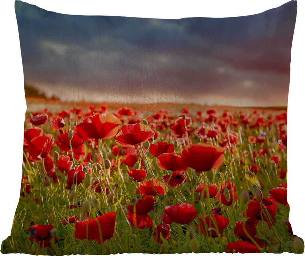 MuchoWow Outdoor Kissen - Sonnenuntergang über einem Feld von Mohnblumen - 45x45 cm - Wetterfest - Lounge Kissen - Fotokissen - Dekoratives Kissen
