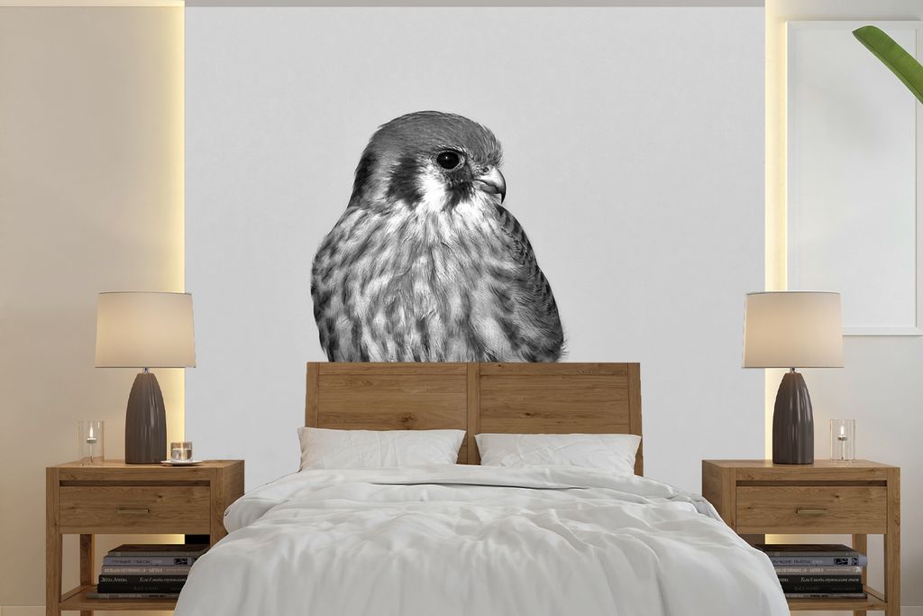 MuchoWow Fototapete für Wohnzimmer oder Schlafzimmer Wandtapete Vinyl Motivtapete Amerikanischer Turmfalke - schwarz und weiß - 300x300 cm - Wa...