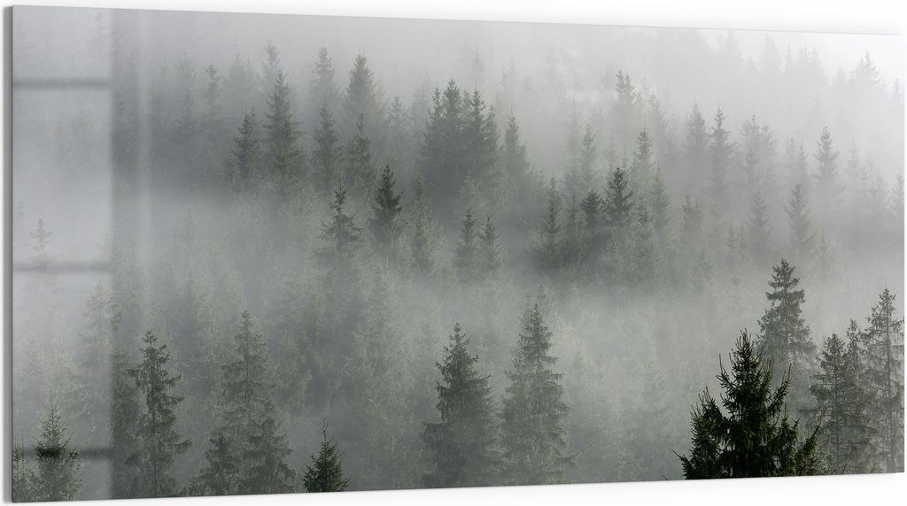 DEQORI Glasbild Acryl 100x50 cm 'Nebelwaldmystik' Wandbild Bild modern Deko