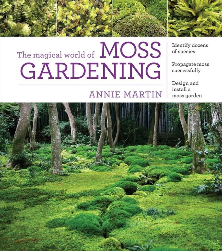 Magical World of Moss Gardening