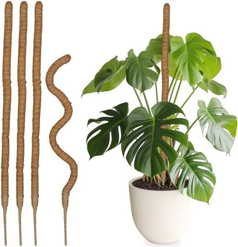 Tuteur en fibre de coco 90 cm lot de 5 pour Monstera et grimpantes