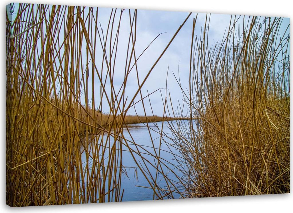 Leinwandbild see natur schilflandschaft 120x80 cm Feeby blau wandbild bereit zum aufhängen