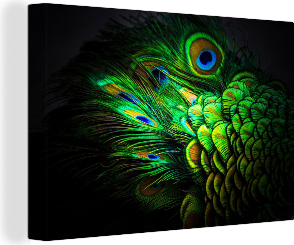 OneMillionCanvasses - Leinwandbilder - 150x100 cm, Muster - Pfau - Federn, Wandbilder Kunstdruck Wanddekoration