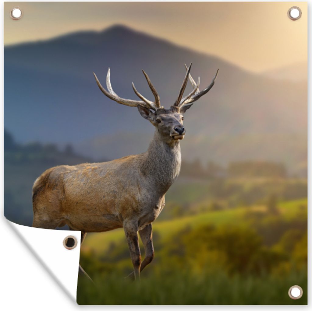 MuchoWow 100x100 cm Outdoor-Poster Gartendeko Sichtschutz Garten Poster für den Garten Hirsche - Berg - Gras - Sonnenuntergang - Tiere - Natur