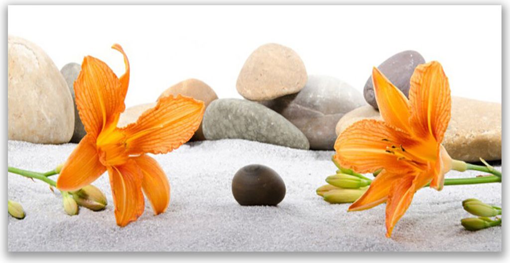 Tulup Leinwand-Bilder 120x60 Wandbild Canvas Kunstdruck Blumen Steine Pflanzen