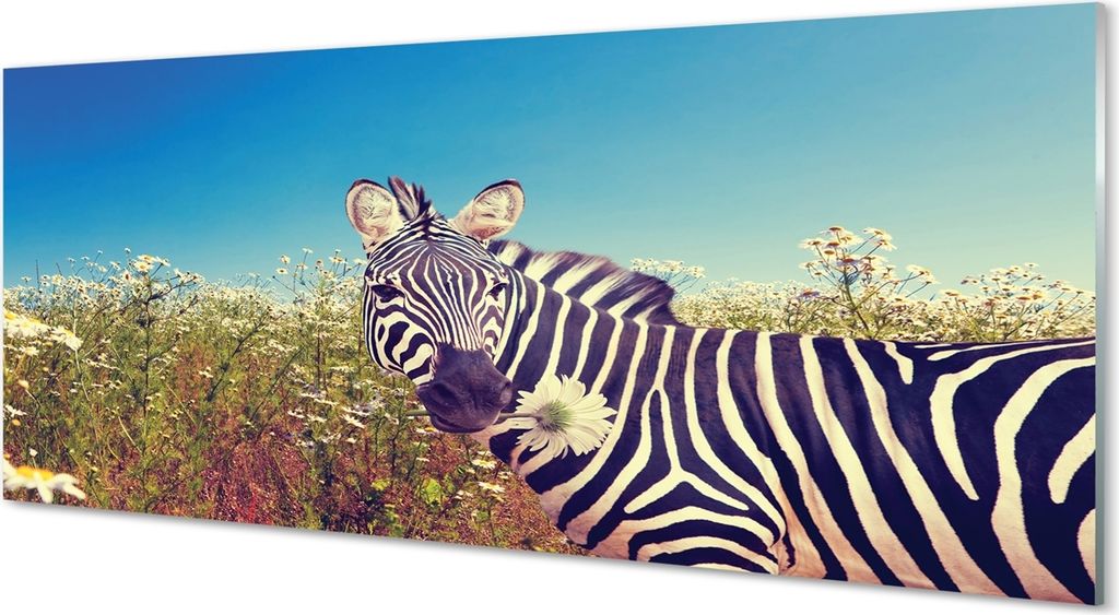 Glasbilder 125x50 Wandkunst Zebra Blumen