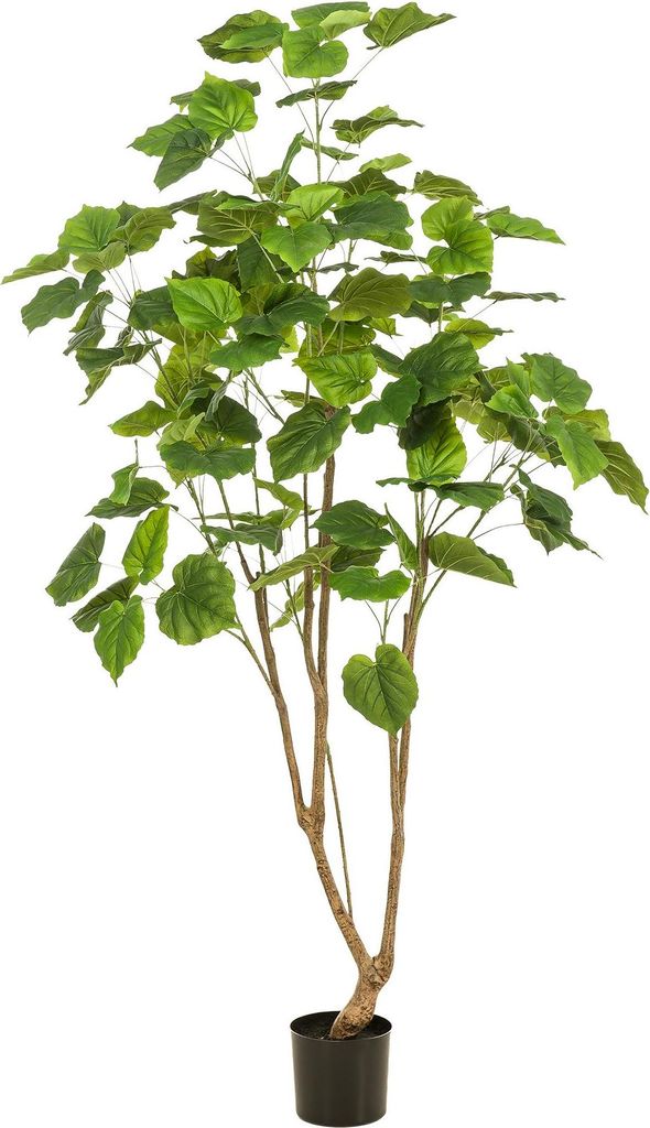 Kunstpflanze Ficus Umbellata – Afrikanische Feige – ca. 180cm hoch – Hochwertige künstliche Zimmerpflanze mit großen Blättern – Dekopfla...