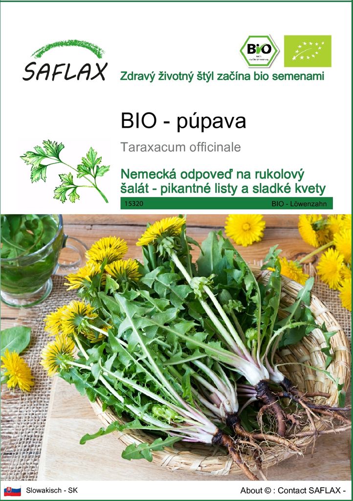 SAFLAX - BIO - púpava - Taraxacum officinale - 400 Semená Obrázok produktu 