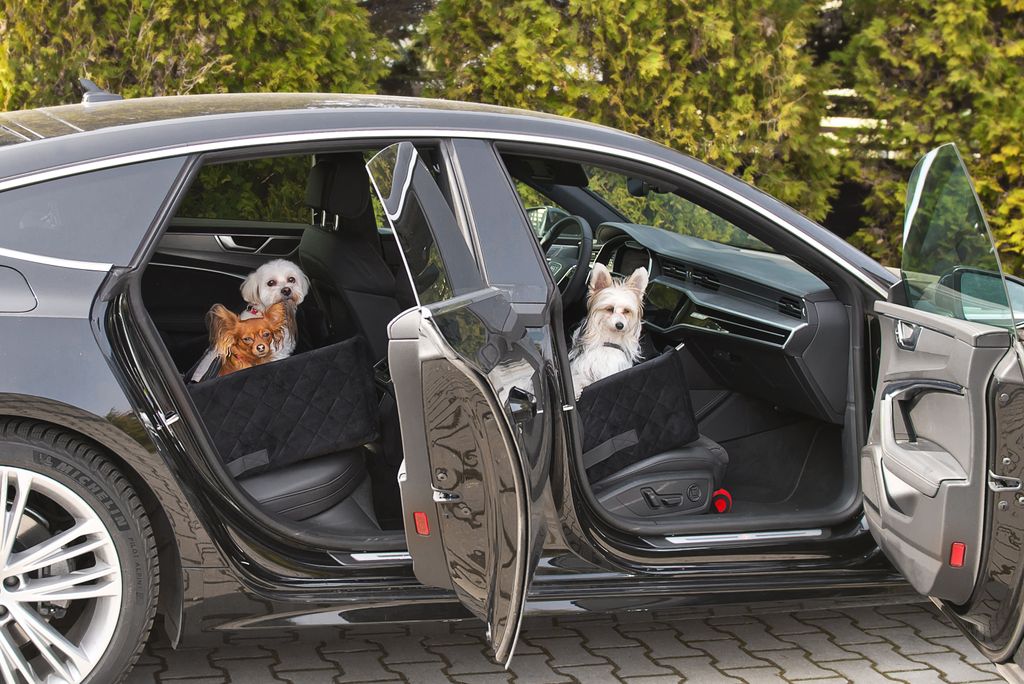 Hundesitz Autositze Autokörbchen Hundeautositz Autositz für Produktbild 5