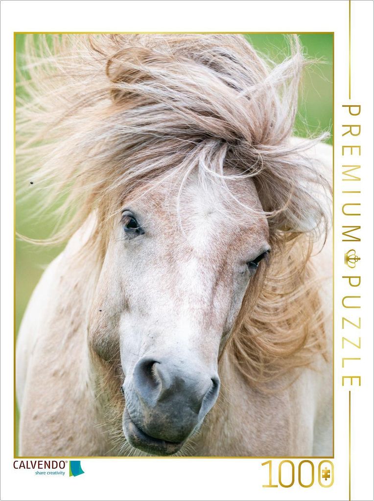 CALVENDO Puzzle Sturmfrisur | 1000 Teile Lege-Größe 64x48cm Foto-Puzzle für glückliche Stunden