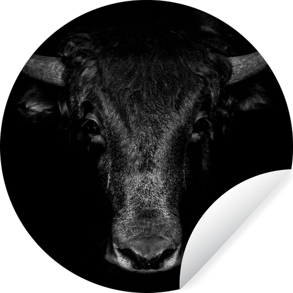 MuchoWow Runde Wandtattoo - Wandsticker Tapete Aufkleber Taurus - Tiere - Schwarz - Weiß Ø 80 cm Selbstklebend und Repositionierbar - Wandaufkl...
