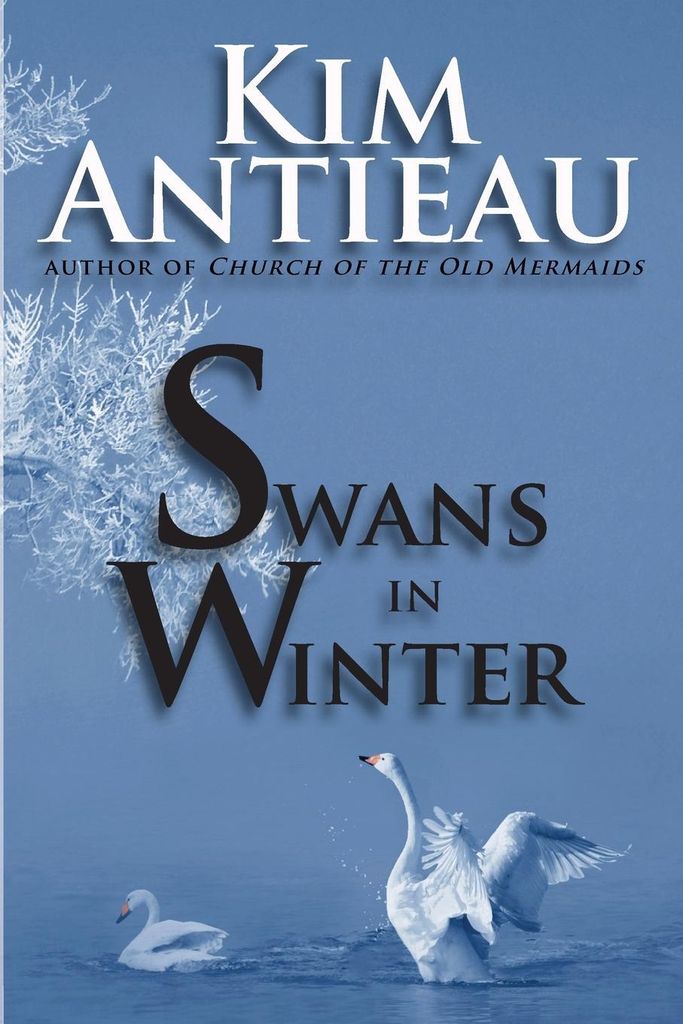 Swans in Winter