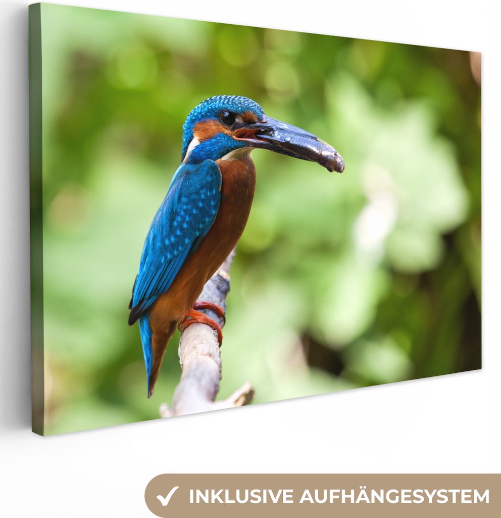 OneMillionCanvasses - Leinwandbilder - 150x100 cm, Eisvogel - Fisch - Baum, Wandbilder Kunstdruck Wanddekoration