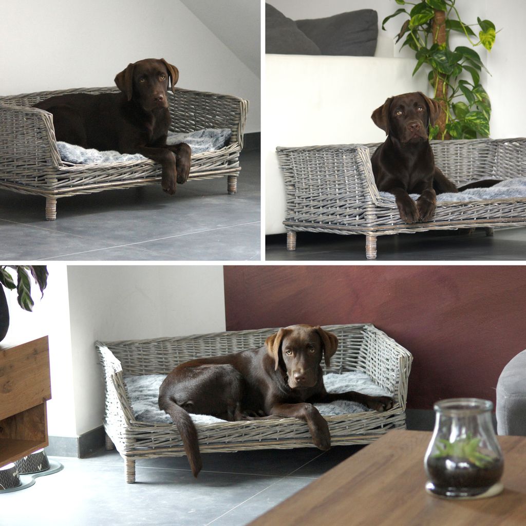 UNUS Hundebett Hundekorb Weide eckig mit Kissen grau