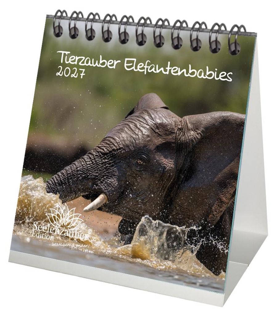Tierzauber Elefantenbabies Tischkalender 10x10cm für 2027 Produktbild 