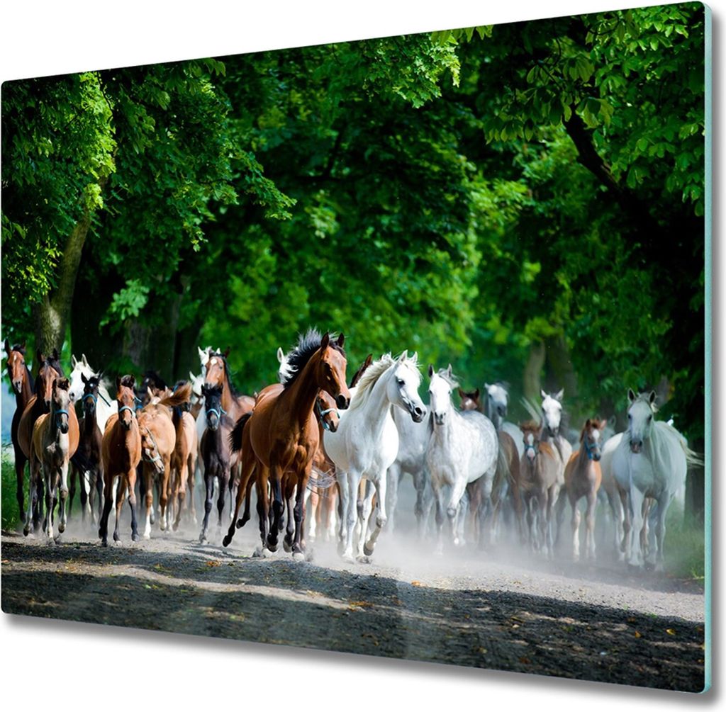 Glas Herdabdeckplatte 60x52 cm Spritzschutz Glasabdeckplatte Schneidebrett Pferde im Galopp