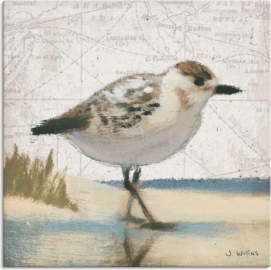 ARTland Leinwandbild Möwe I Größe: 30x30 cm