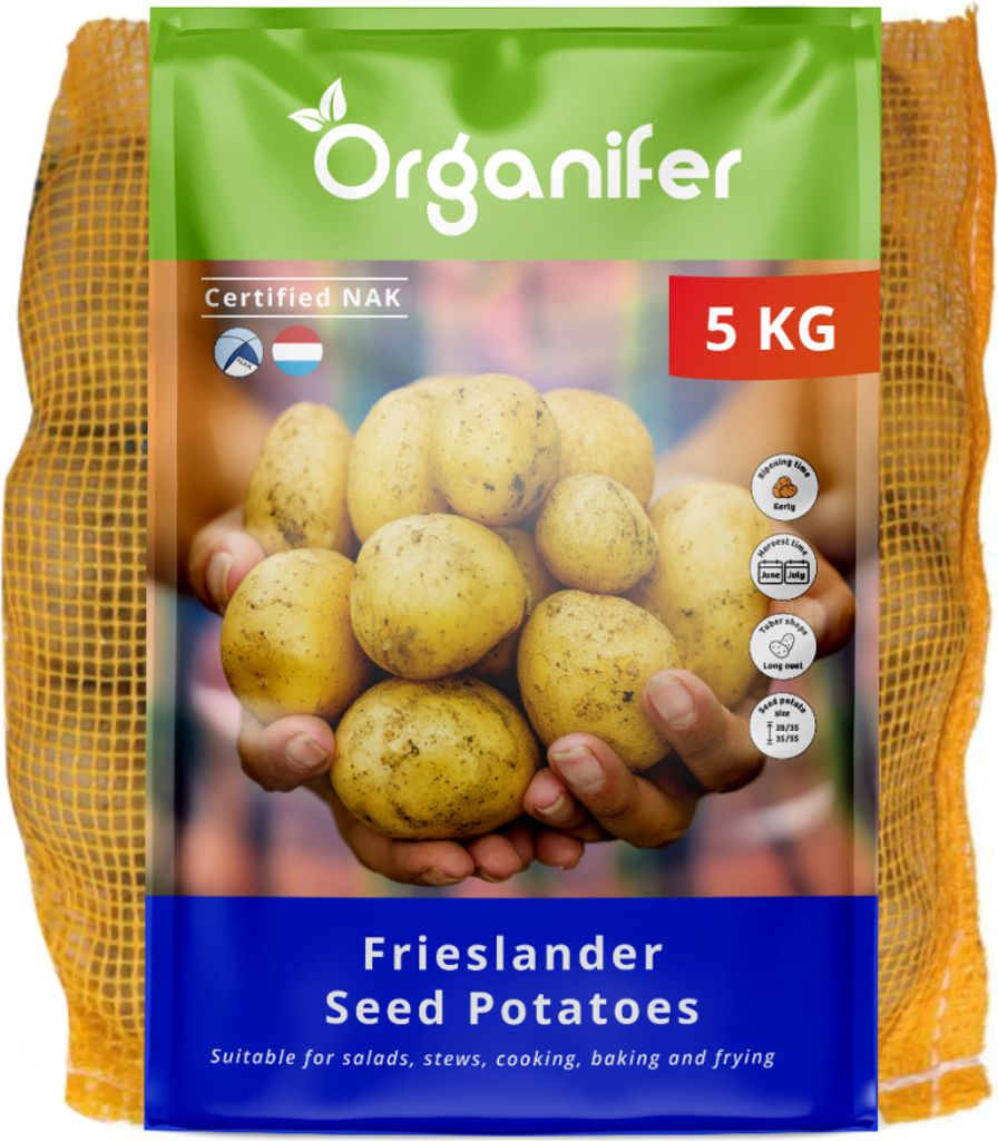 Saatkartoffeln Frieslander A 28/35 (5 kg) - Organifer