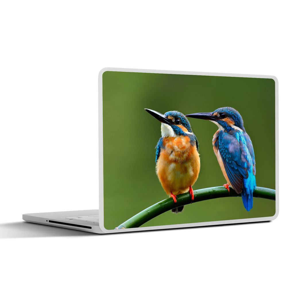 MuchoWow Laptop Aufkleber Sticker Cover Liebe - Schilf - Eisvogel 30x22 cm - Laptop-Sticker