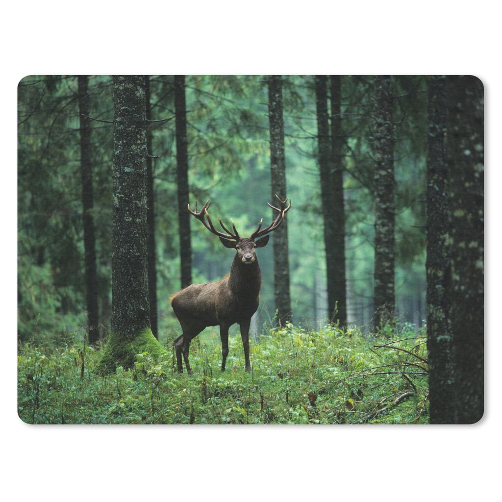 MuchoWow Mauspad Mousepad Hirsche - Wald - Bäume - Tiere - Natur 40x30 cm - Mousepads - Maus Mat - Pad - Mausunterlage - Anti Rutsch